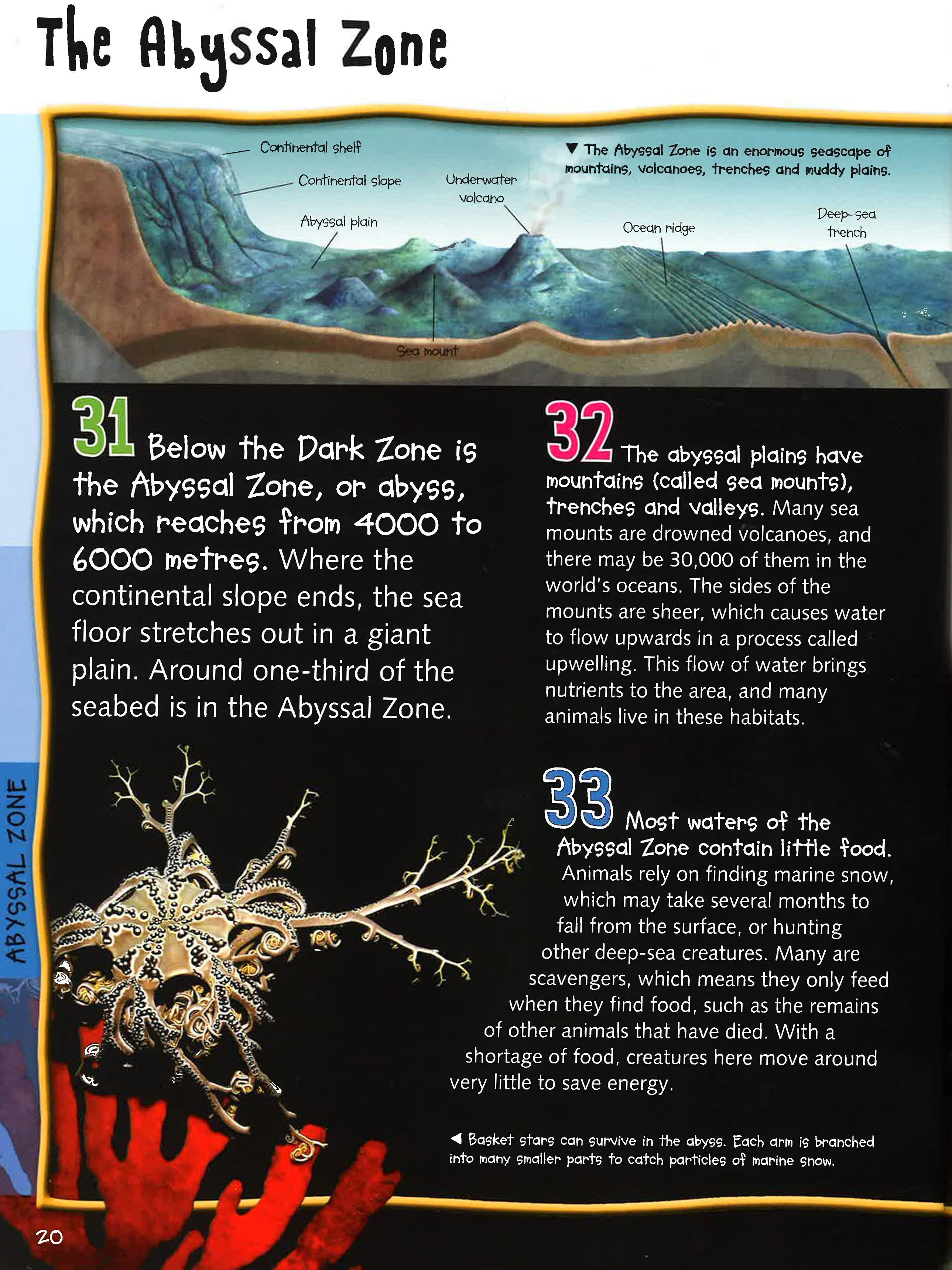 100 Facts Deep Ocean