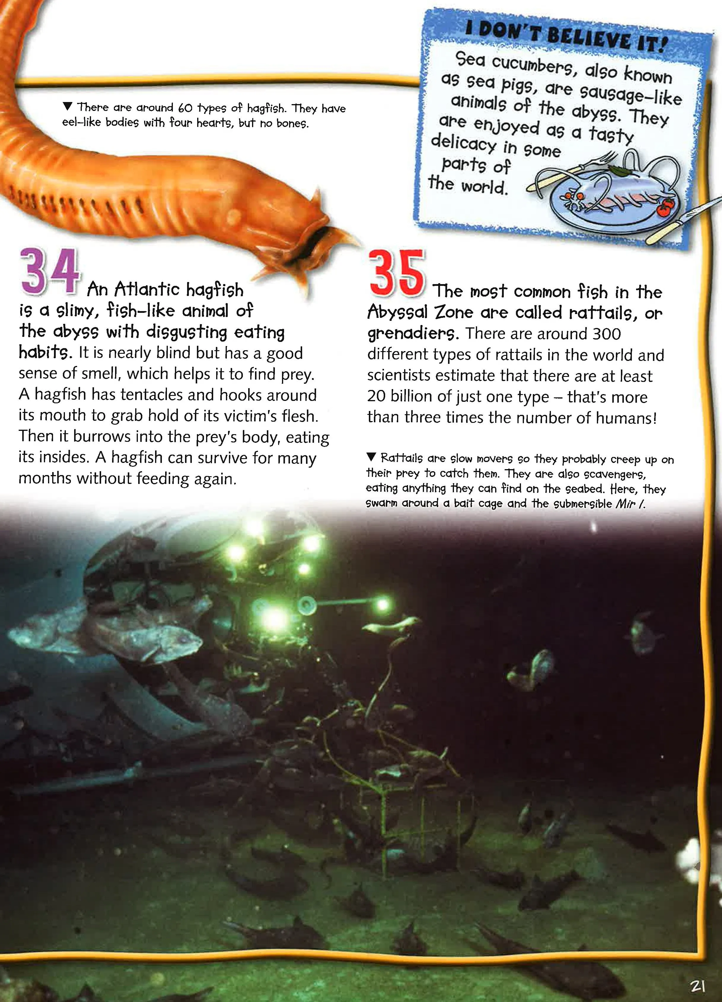 100 Facts Deep Ocean