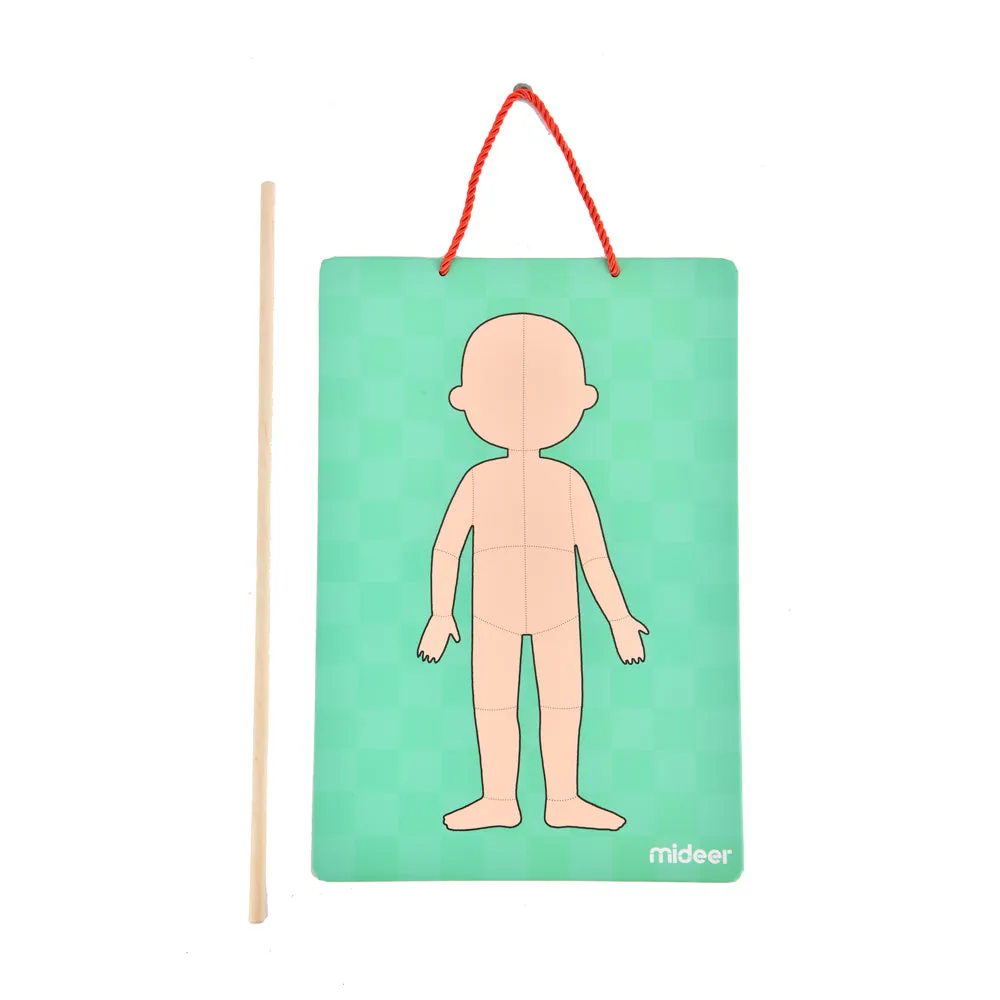 Body Magnetic Puzzle